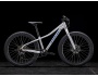 TREK Roscoe 24