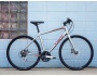 TREK FX 2 Disc