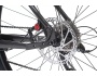 Levit Notos 7 29
