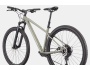 Cannondale Trail 1