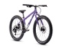Early Rider Seeker 24