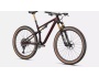 Specialized Epic Evo Pro