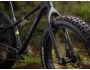 TREK Farley 5