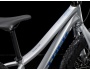 TREK Roscoe 20
