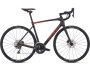 Specialized Roubaix Comp