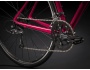 TREK Domane AL 2 WSD