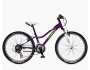TREK Precaliber 24 21-Speed Girl's