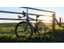 TREK Domane S 5 Disc