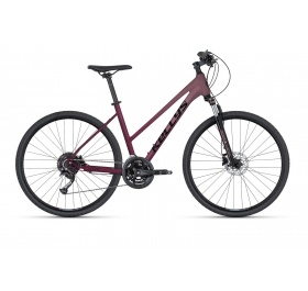 Kellys Pheebe 20 2025