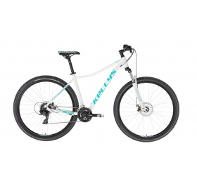 Kellys Vanity 30 2023