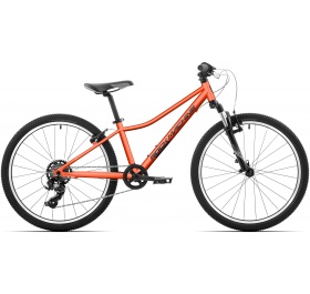 Rock Machine Catherine 24