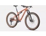 Specialized Epic Evo Expert