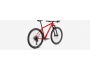 Specialized Epic Hardtail