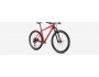 Specialized Epic Hardtail