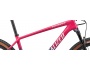 Specialized Epic Hardtail Pro