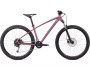 Specialized Pitch Expert 2X