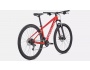 Specialized Rockhopper 29