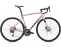 Specialized Roubaix Expert