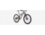 Specialized Stumpjumper EVO Comp Alloy 29