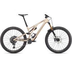 Specialized Stumpjumper Evo Pro