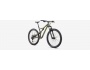 Specialized Stumpjumper ST Alloy 29