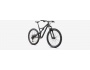 Specialized Stumpjumper ST Alloy 29