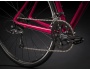 TREK Domane AL 2 WSD