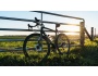 TREK Domane ALR 4 Disc
