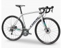 TREK Domane ALR 4 Disc