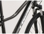TREK Dual Sport 2 Women's