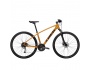 TREK Dual Sport 3