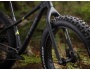 TREK Farley 5