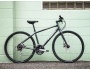 TREK FX 2 Disc Women's