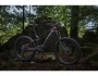 TREK Powerfly LT 9.7 Plus