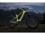 TREK Powerfly LT 9.7 Plus