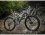 TREK Remedy 9.7 27.5