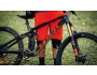 TREK Remedy 9.9 Race Shop Limited