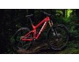 TREK Slash 9.9 29 Race Shop Limited