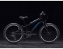 TREK Superfly 20